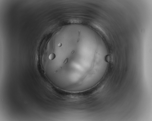 X0000088210733200705292052