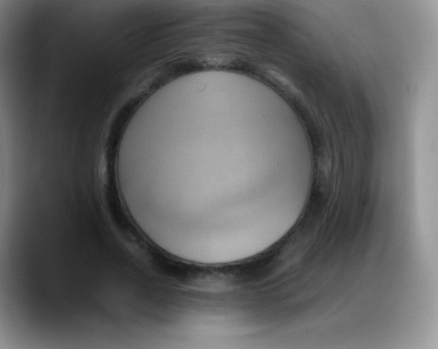 X0000088210734200705292052