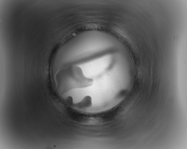 X0000088210737200705292052