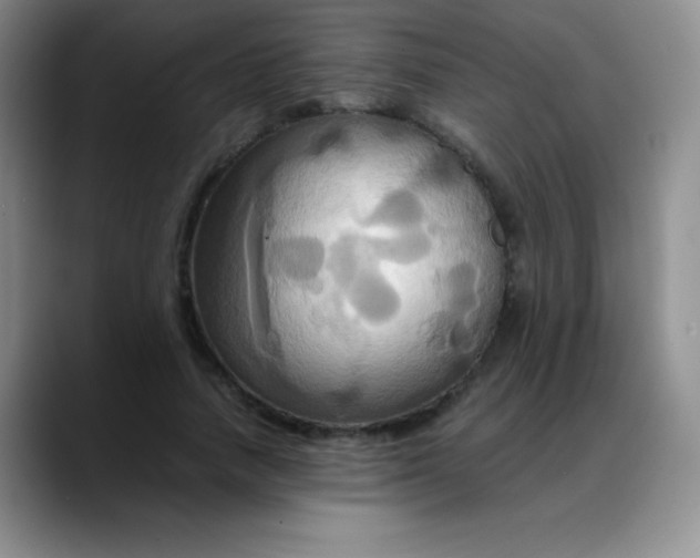 X0000088210738200705292052