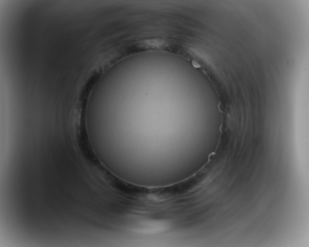 X0000088210739200705292052
