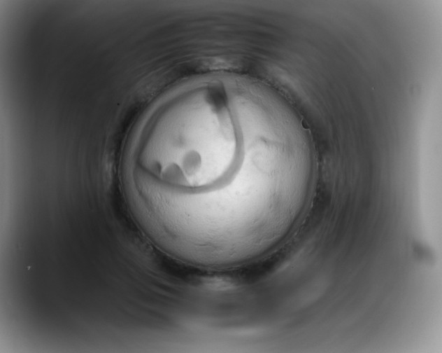 X0000088210741200705292052