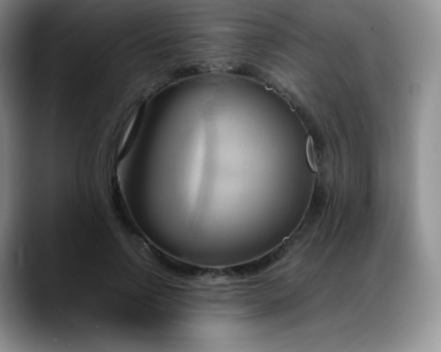 X0000088210742200705292052