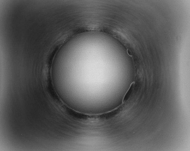 X0000088210744200705292052