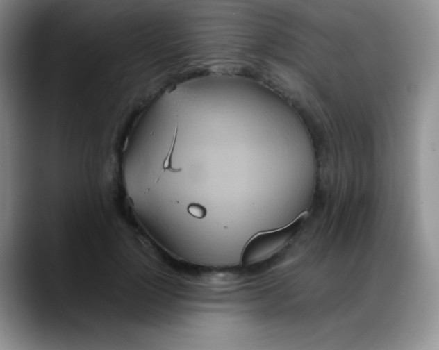 X0000088210748200705292052