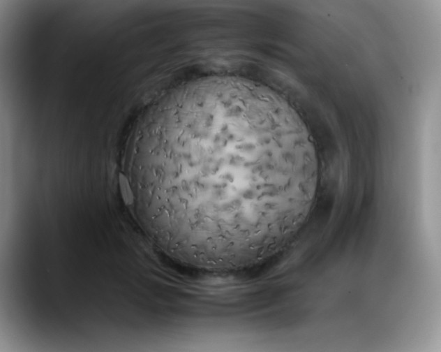 X0000088210749200705292052