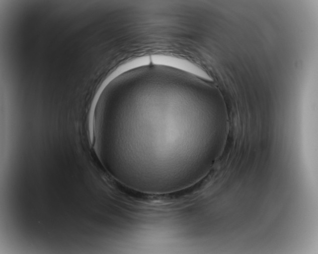 X0000088210750200705292052