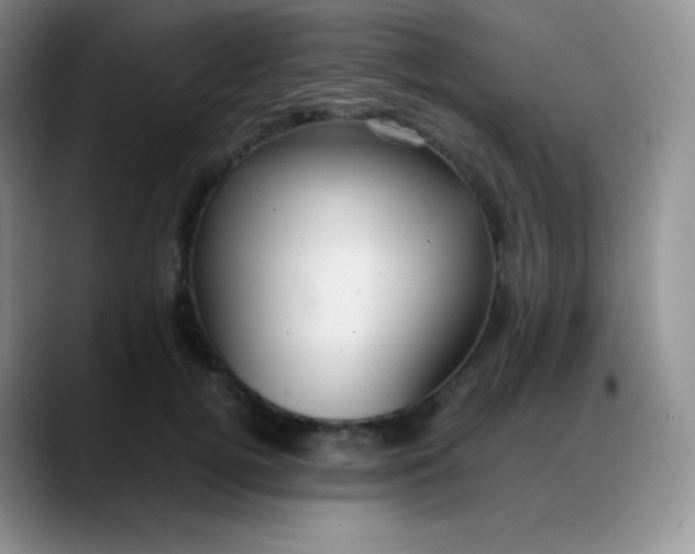 X0000088210752200705292052