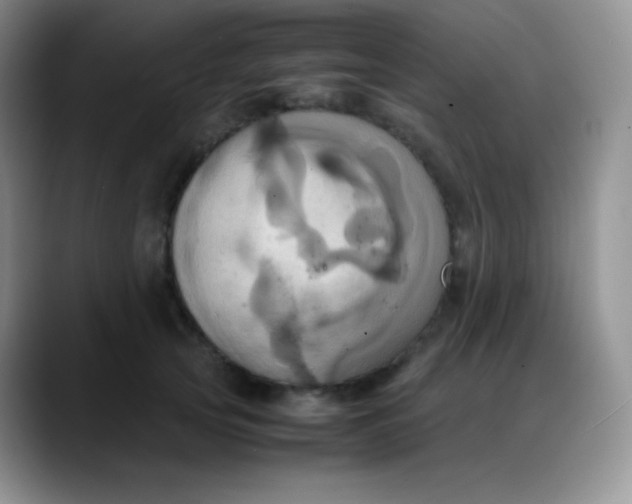 X0000088210753200705292052
