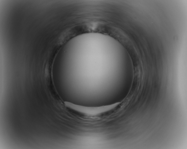 X0000088210754200705292052