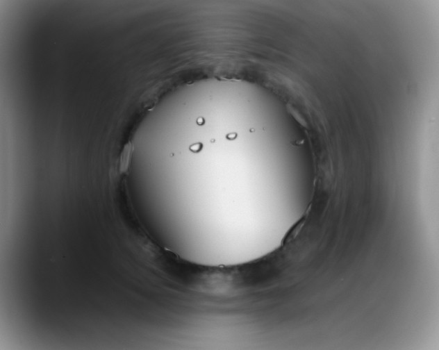 X0000088210756200705292052