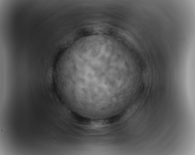 X0000088210757200705292052