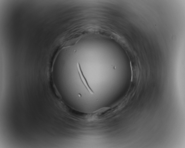 X0000088210762200705292052