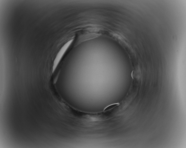 X0000088210763200705292052
