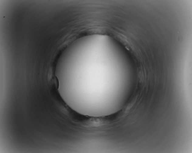 X0000088210764200705292052