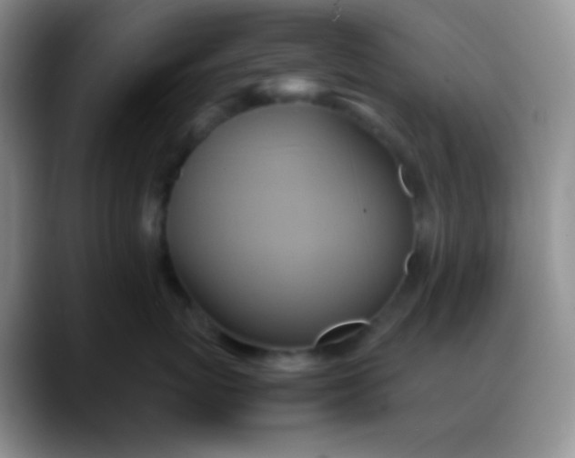 X0000088210767200705292052