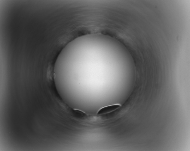 X0000088210768200705292052
