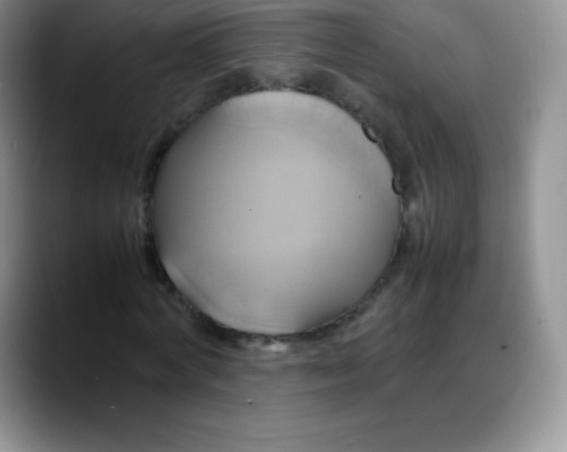 X0000088210772200705292052