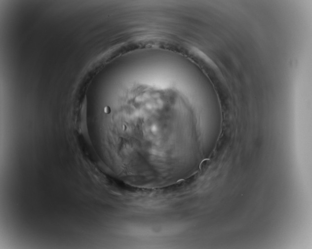 X0000088210775200705292052