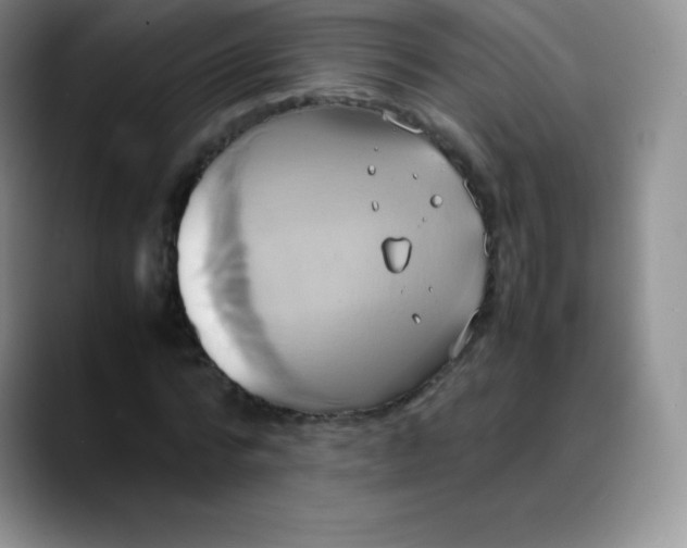 X0000088210776200705292052
