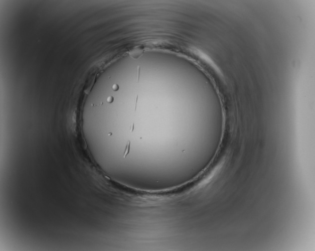 X0000088210777200705292052