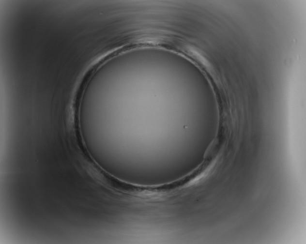 X0000088210779200705292052