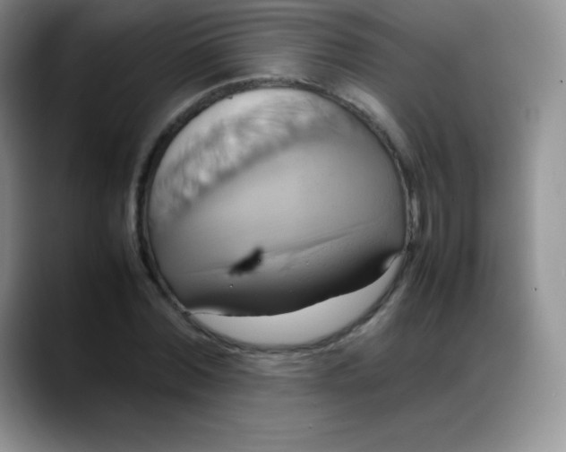 X0000088210780200705292052