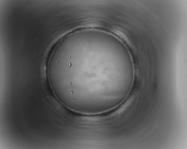 X0000088210781200705292052