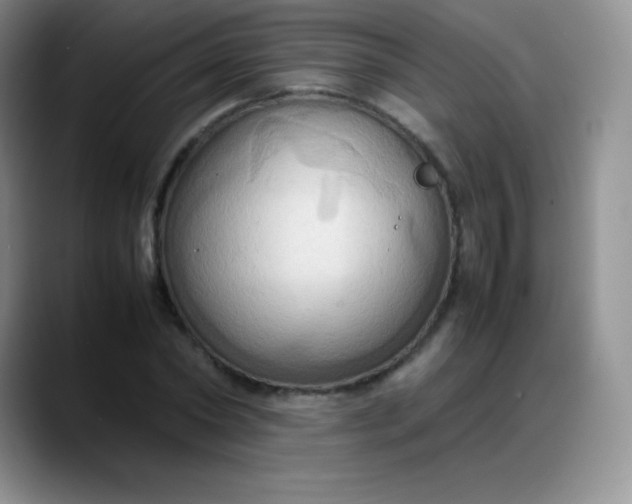 X0000088210782200705292052