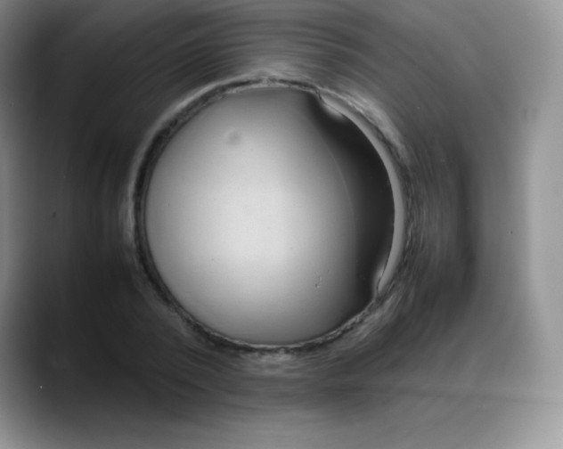 X0000088210784200705292051