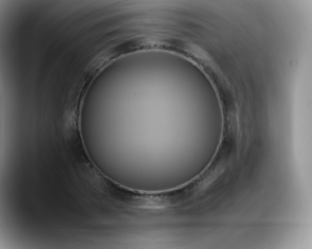 X0000088210785200705292051