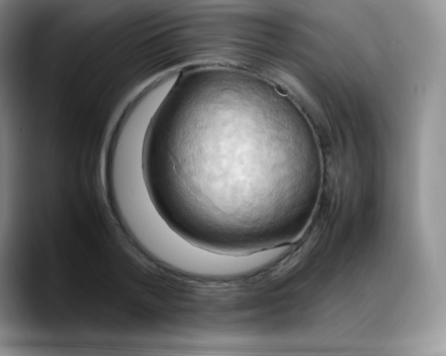 X0000088210788200705292051