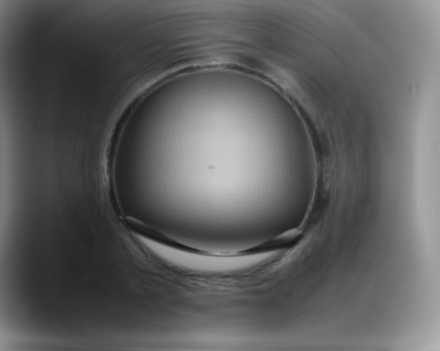 X0000088210789200705292051