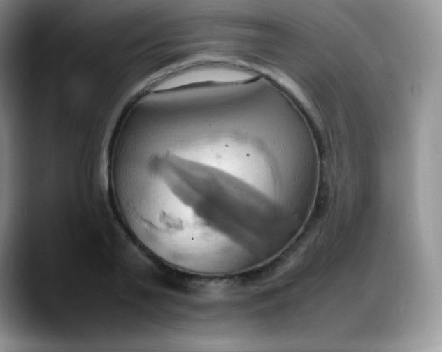 X0000088210791200705292051