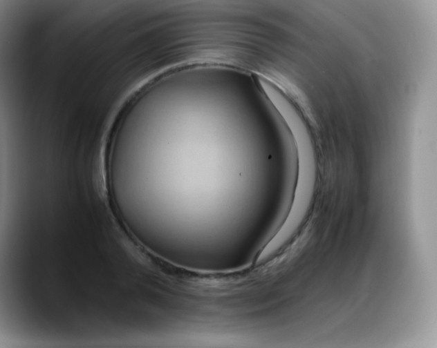 X0000088210792200705292051