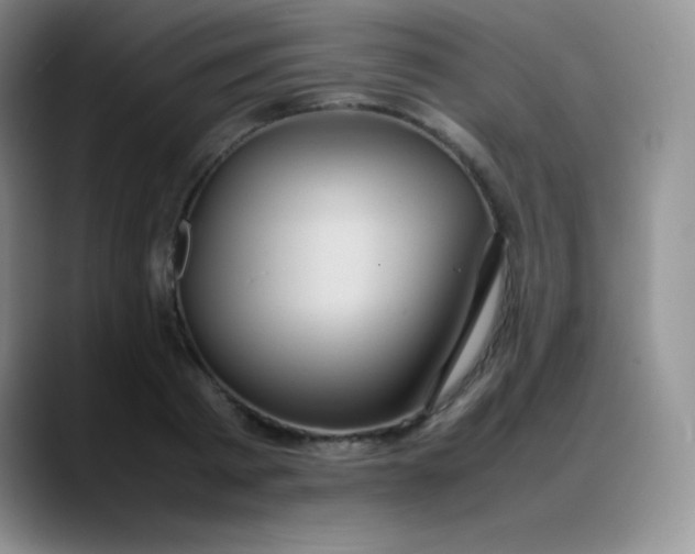 X0000088210793200705292051