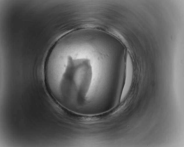 X0000088210795200705292051
