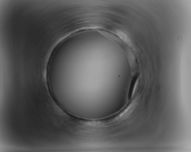 X0000088210797200705292051