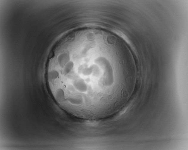 X0000088210799200705292051