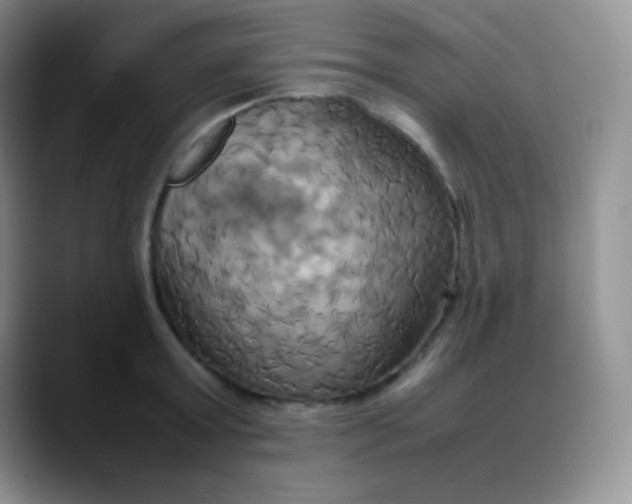 X0000088210803200705292051