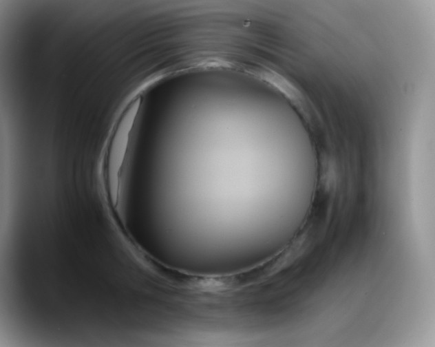 X0000088210806200705292051