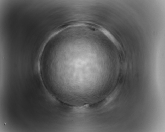 X0000088210813200705292051