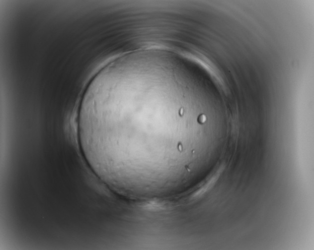 X0000088210814200705292051