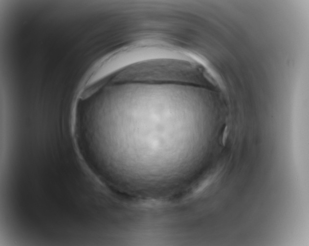 X0000088210815200705292051