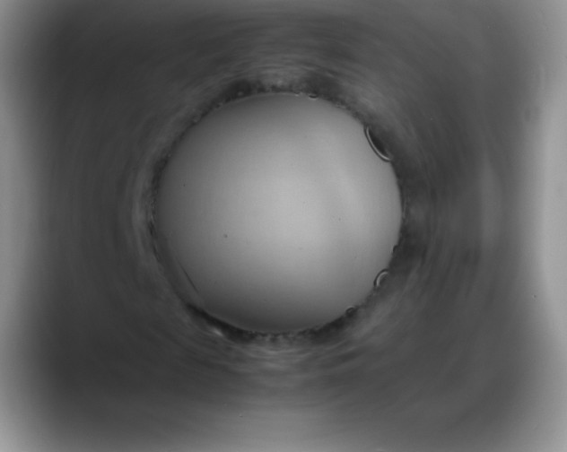X0000088210817200705292050