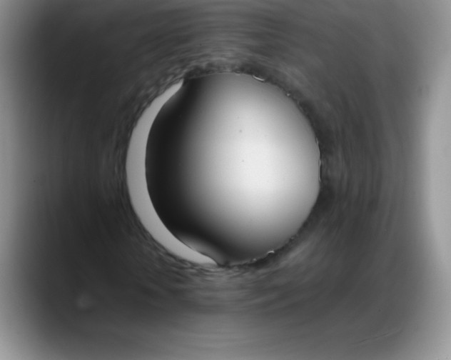 X0000088210818200705292050
