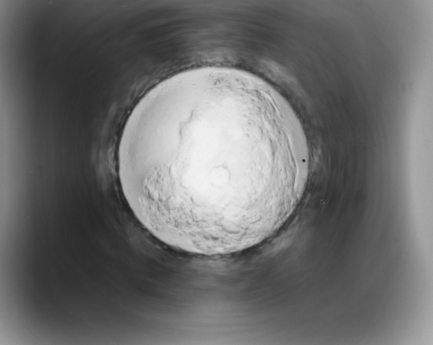 X0000088210820200705292050