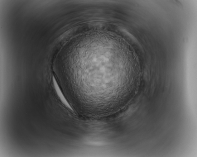 X0000088210821200705292050