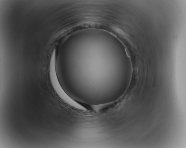 X0000088210822200705292051