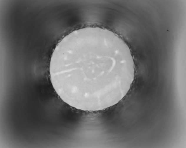 X0000088210824200705292051